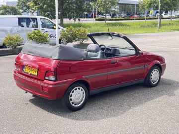 Rover 100